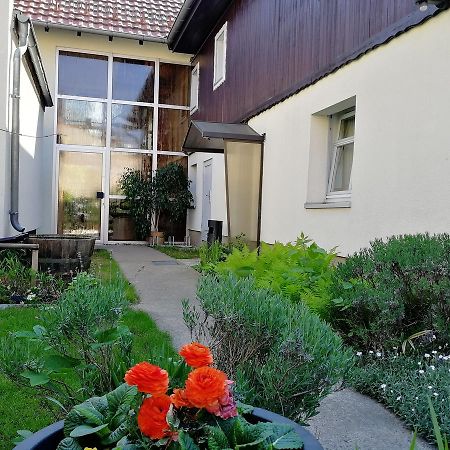 Ferienwohnung Pohle-Priske Radebeul Exterior foto
